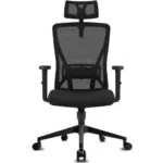 Durrafy Silla de Oficina Ergonómica con Reposacabezas y Soporte Lumbar