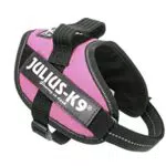 Julius-K9 Arnés IDC Power para Perros