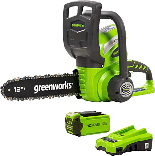 Greenworks Motosierra G40CS30K2 40V con batería de 2Ah y cargador, 30 cm
