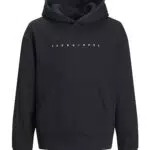 Jack & Jones Junior Jjestar JJ Sweat Hood Noos Jnr Sudadera con Capucha