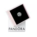 Pandora Charm Moments - Copo de Nieve