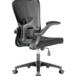 Durrafy Silla de Oficina Ergonómica con Reposabrazos y Apoyo Lumbar Regulable