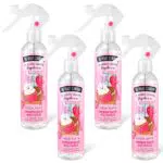 The Fruit Company Ambientador Spray Fresa Nata 250ml