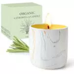 Vela de Citronela 100% Natural para Exteriores - Aromáticas y Decorativas