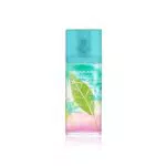 Elizabeth Arden Green Tea Coconut Breeze Eau de Toilette - Perfume Energizante