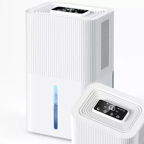 Deshumidificador eléctrico silencioso portátil con apagado automático y luz nocturna