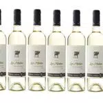 Miguel Torres Chile Las Mulas Sauvignon Blanc Vino Blanco