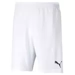 Puma Pantalones cortos deportivos para hombre teamRISE