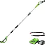 Greenworks G24PS20K2 Sierra Telescópica 24V Barra 20cm, Autoengrasado, Batería y Cargador