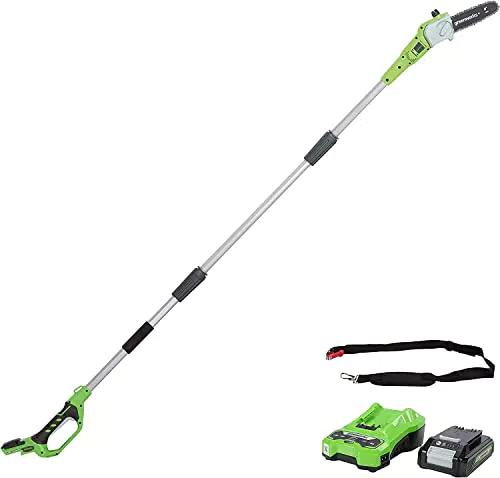Greenworks G24PS20K2 Sierra Telescópica 24V Barra 20cm, Autoengrasado, Batería y Cargador