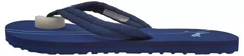 PUMA Epic Flip V2 - Chanclas Unisex para Adultos