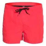 Quiksilver Everyday Volley 15, Bañador para Hombre