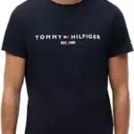 Tommy Hilfiger Camiseta Hombre Manga Corta Core Tommy Logo Cuello Redondo
