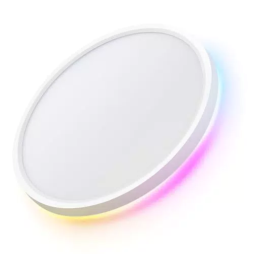 LuminexDesigns Plafón LED Inteligente 24W Regulable con WiFi y Mando, Alexa y Google Home