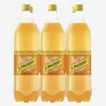 Schweppes Naranja Refresco Bebida Gaseosa Botella PET